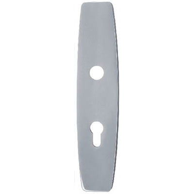 Stainless Steel Handle Plate